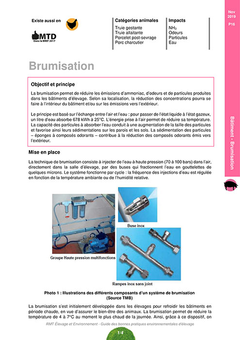 Brumisation  (eau + huiles)