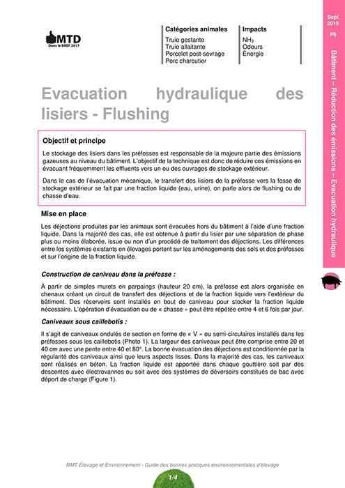 Logement avec sol en caillebotis avec un système d'évacuation hydraulique des déjections