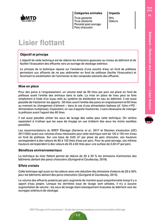 Lisier flottant