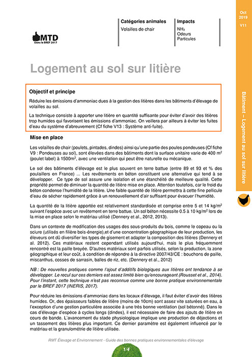 Logement au sol sur litière