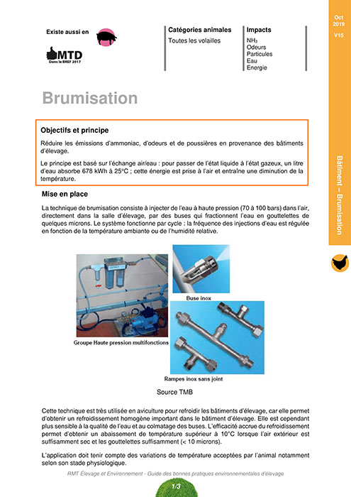 Brumisation 